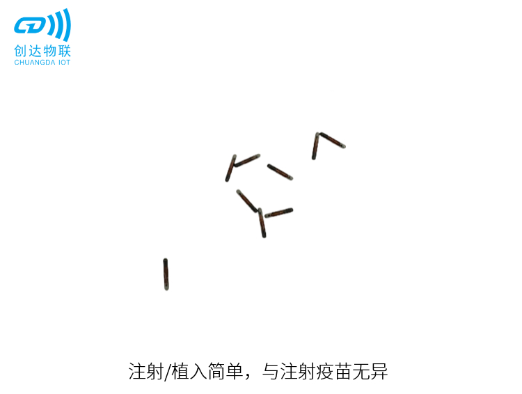 2.12X12MM玻璃管标签