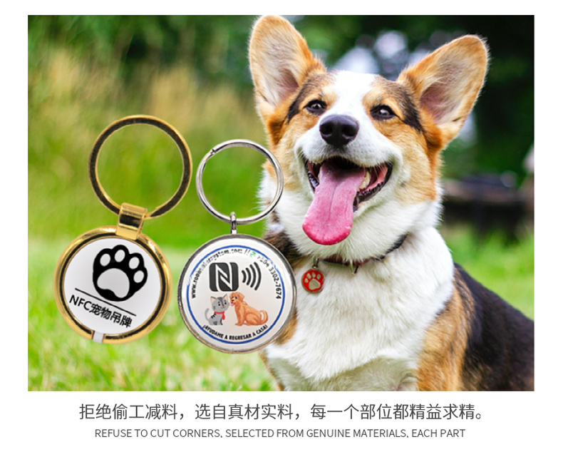 NFC狗骨头铭牌